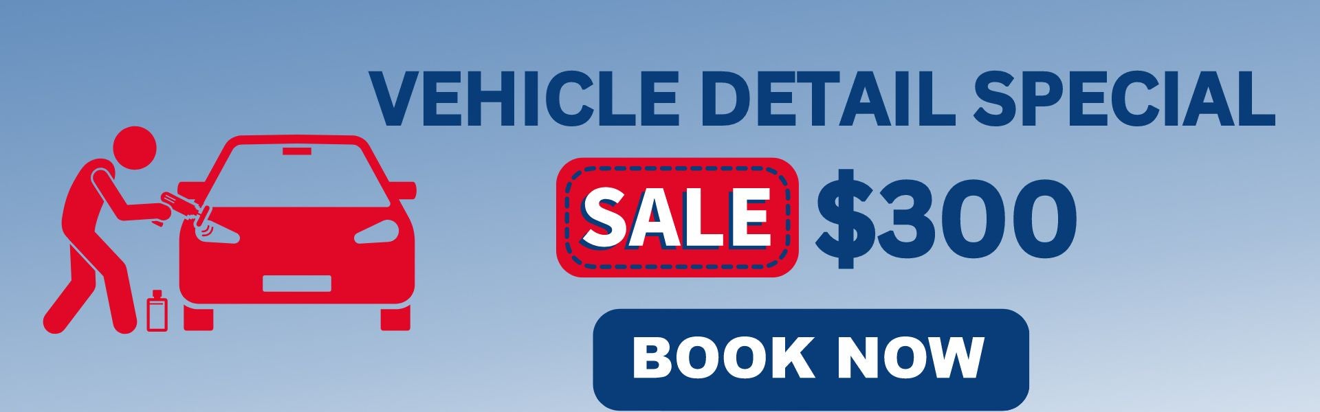 Vehicle detailing special $300